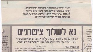 ידיעות אחרונות 2000